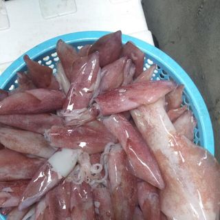 MỰC ỐNG ĐÔNG LẠNH 4-6