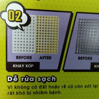 Khay gieo hạt 84 lỗ trong suốt hàng ToKai