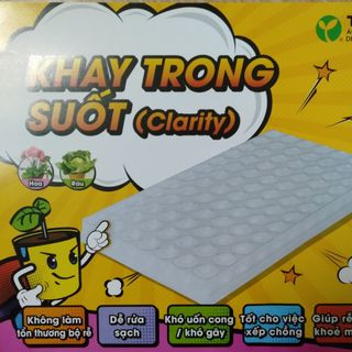 Khay gieo hạt 84 lỗ trong suốt hàng ToKai giá sỉ