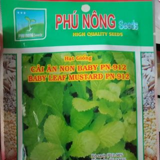 Hạt giống cải xanh ăn non Phú Nông giá sỉ