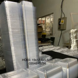 HỘP NHỰA PET TRONG HQ55 HQ55 C55