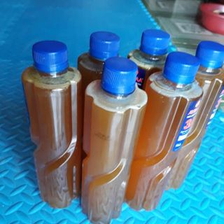 Mật ong Khoái rừng Tây Bắc