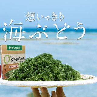 RONG NHO NHẬT BẢN GIÁ LẺ 99K/HỘP