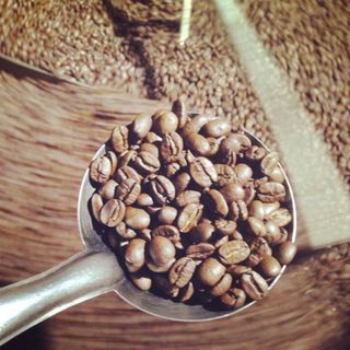CAFE ROBUSTA