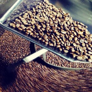 CAFE ROBUSTA