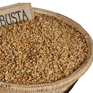 CAFE ROBUSTA