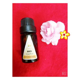 Tinh dầu quế lọ 10ml AP70