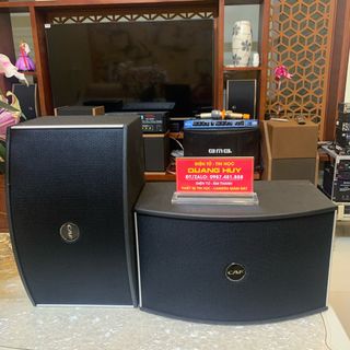 Loa CAF bass 25 cực hay cho ae thợ