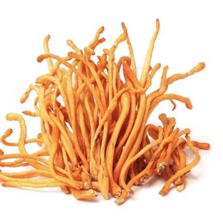 Đông trùng hạ thảo khô 1kg