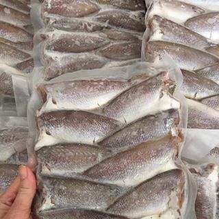 CA ĐÙ NGUYÊN CON 1 NẮNG