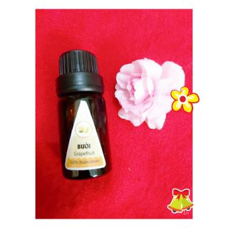 Tinh dầu sả chanh lọ 5ml AP72