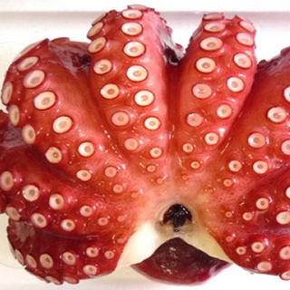 BẠCH TUỘC NHẬT SASIMI