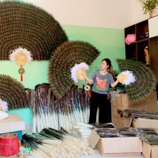 LÔNG CÔNG GIÁ SỈ