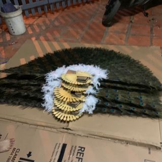 LÔNG CÔNG GIÁ SỈ