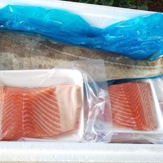 CÁ HỒI NAUY PHILE TƯƠI