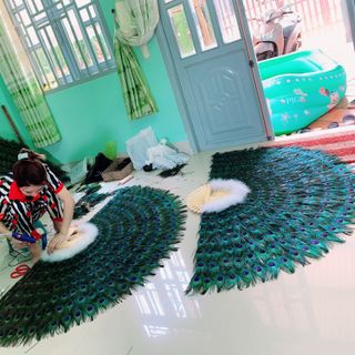 QUẠT LÔNG CÔNG PHONG THUỶ GiÁ SỈ