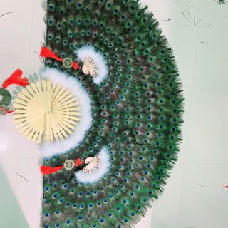 QUẠT LÔNG CÔNG PHONG THUỶ GiÁ SỈ