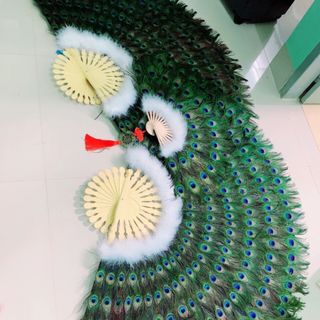 QUẠT LÔNG CÔNG PHONG THUỶ GiÁ SỈ