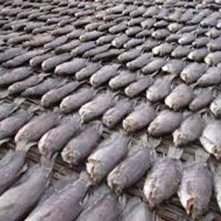 Khô cá sặc bổi cỡ đại - đầu nguồn An Giang 7-8 con/kg
