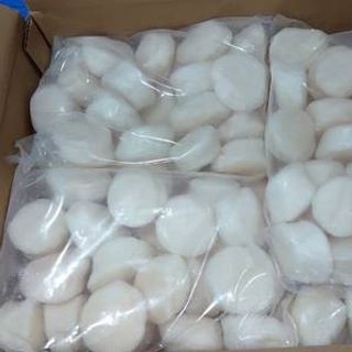 Cồi Sò Điệp Nhật 30-35c