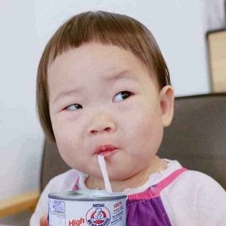 SỮA GẤU