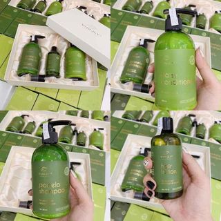Bộ sản phẩm chăm sóc tóc