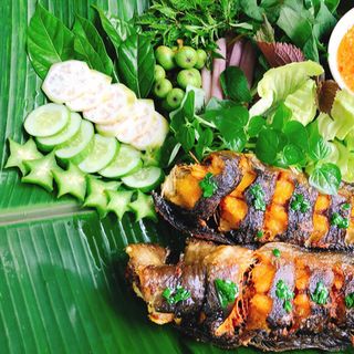 Cá trê nguyên con