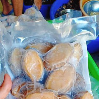 Bào Ngư Hàn Quốc - Hải Sản Cao Cấp sỉz 20-25c/kg