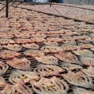 Khô cá lóc Châu Đốc