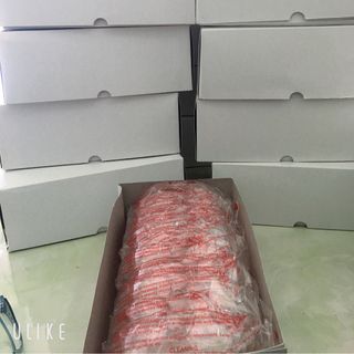 kính bảo hộ cao cấp số lượng có hạn người lớn và trẻ em