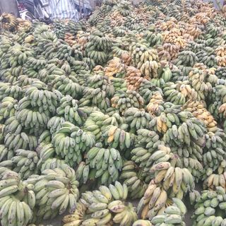 Chuối Sấy giá sỉ​