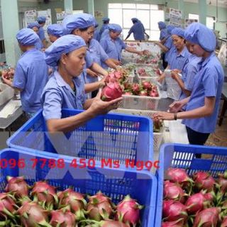 Rổ nhựa đựng trái cây hàng hóa các loại giá rẻ