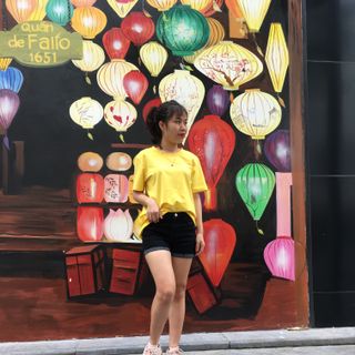 Áo thun trơn ( )