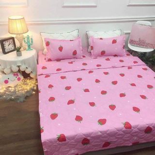 Chăn hè trần bông 1m8x2m poly cotton (Hàng xưởng)