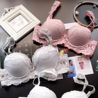 Bộ KL siêu đẩy mút xoài