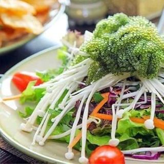 Rong nho tươi -khô sỉ toàn quốc