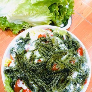 Rong nho tươi -khô sỉ toàn quốc