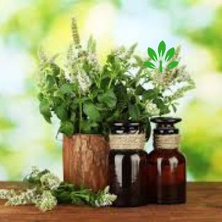 Tinh dầu sả chanh 10ml AP76