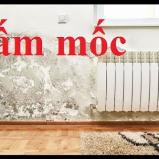 Tấm nhựa ốp tường pvc