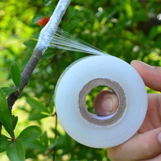 Kéo Ghép Cành SỈ Số Lượng