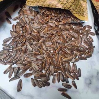 Hướng dương caramen