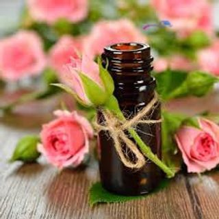 Tinh dầu quế lọ 5ml AP77