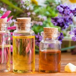 Tinh dầu quế lọ 5ml AP77
