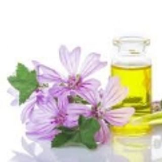 Tinh dầu quế lọ 5ml AP77