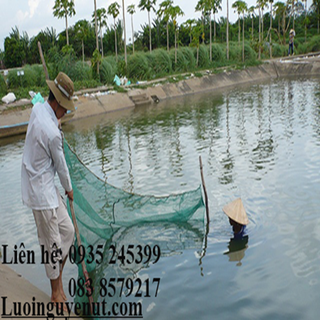 lưới kéo cá các loại