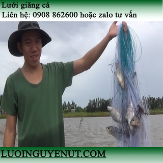 lưới giăng cá ba màn Nguyễn Út