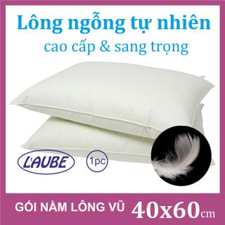 GỐI LÔNG VŨ TỰ NHIÊN 100% 40X60cm