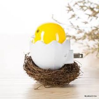 Đèn ngủ hình quả trứng