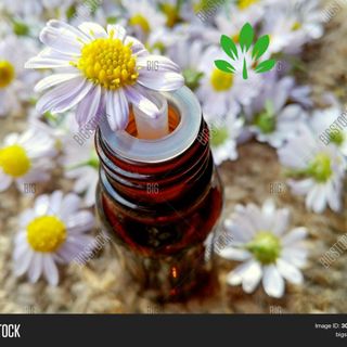 Tinh dầu cà phê lọ 5ml AP82