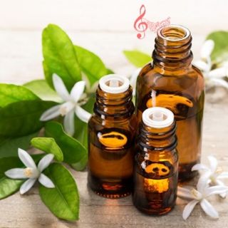 Tinh dầu cà phê lọ 10ml Ap81